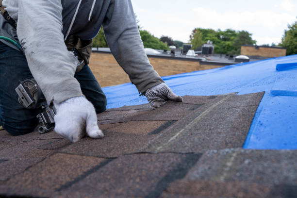 Quick and Trustworthy Emergency Roof Repair Services in St Charles, MI