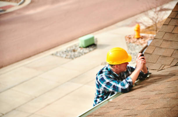 Best Roof Gutter Cleaning  in St Charles, MI
