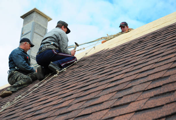 Best Roof Maintenance Services  in St Charles, MI