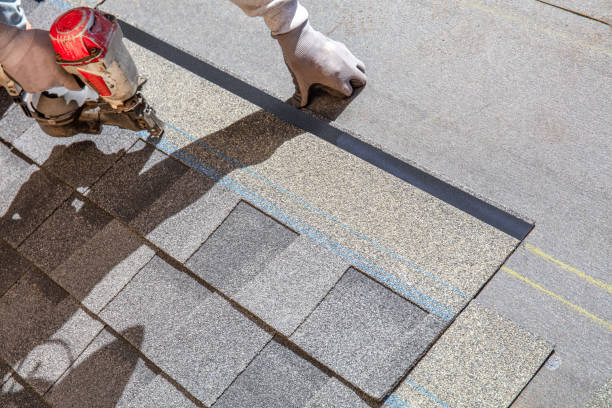 Best Roofing Contractor Near Me  in St Charles, MI