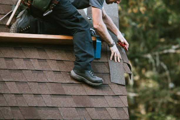 Best Local Roofing Companies  in St Charles, MI