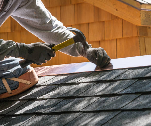 Best Roof Maintenance Services  in St Charles, MI